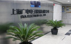 上海海狗互联网有限公司是做什么的？