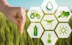 互联网如何重塑现代农业？