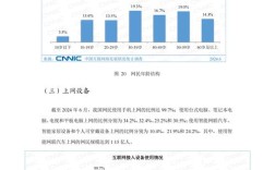 39次互联网络发展报告