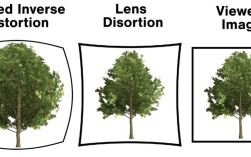 LensDistortion教程怎么学？关键技巧有哪些？