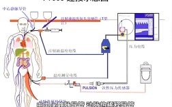 autonotification教程怎么用？30字内快速上手指南？