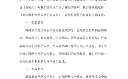 关于维护互联网安全的决定如何保障网络安全？