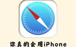 为何需允许Safari连接互联网？