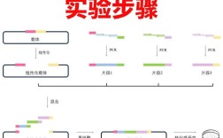 Acronis克隆教程怎么操作？步骤详解！