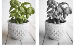 color efex pro 4教程