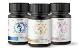 Cerulean是哪个品牌？