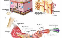 CyanogenMod移植教程，如何操作？