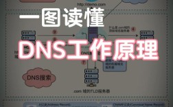 DNS Redirector教程怎么用？配置步骤有哪些？
