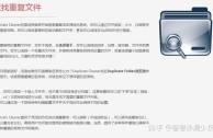 Duplicate Cleaner教程怎么用？快速清理重复文件步骤详解