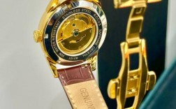 goidiion是何国品牌？主营什么产品？