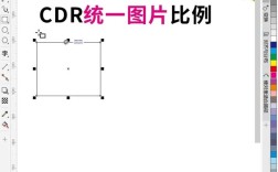CorelDRAW X4教程图片怎么用？