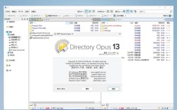 Total Commander怎么用？新手入门指南？