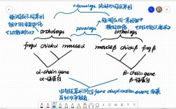 parabola calculator怎么用？