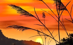 Procreate Pocket教程从哪开始学？