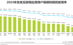 2025我国互联网用户