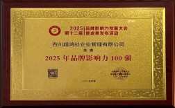 2025行业影响力品牌