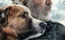 The Wild Dog品牌有何独特魅力？