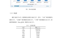 2025互联网报告CNNIC揭示了哪些核心趋势？