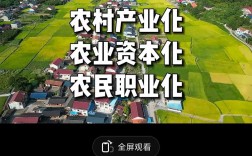 农村互联网普及2025，如何破解落地难题？
