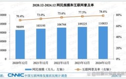 湖南 互联网 发展状况