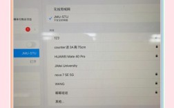 iPad如何联网？Wi-Fi/蜂窝网设置步骤是什么？