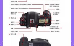5D Mark III视频教程，新手怎么学？