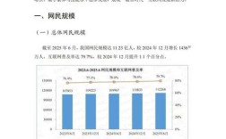 中国互联网2025报告，未来趋势与关键机遇是什么？
