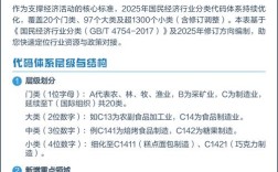 2025互联网行业如何分类？