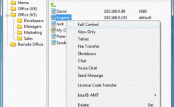 Radmin Viewer怎么用？连接教程有哪些步骤？