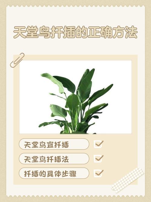 Hummingbird exceed教程如何快速上手？-图1