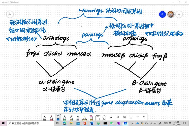 parabola calculator怎么用？-图1