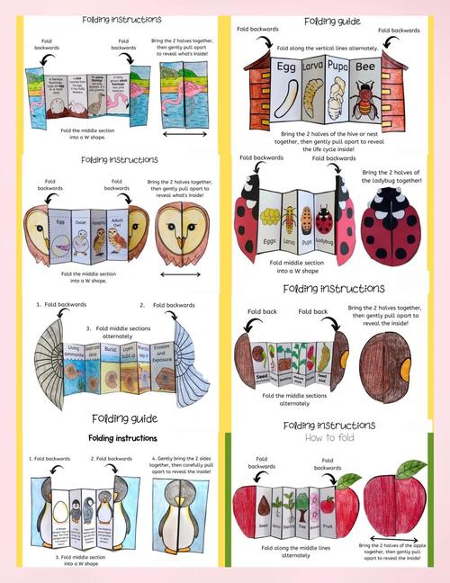 Workshop教程怎么用？-图2
