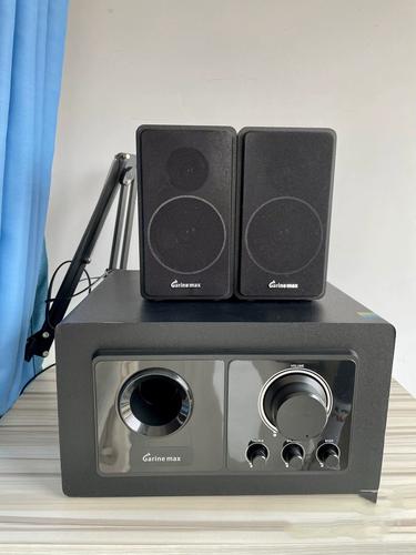 garinemax音响是品牌吗？-图2