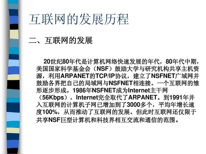 互联网第一次快速发展因何而起？-图3