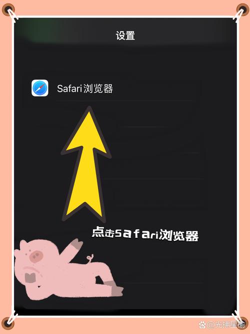 Safari插件删不掉怎么办?-图3 Safari插件删不掉怎么办?-图3
