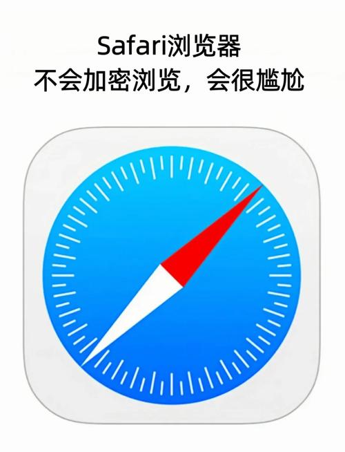 Safari Downloader怎么用？下载步骤有哪些？-图1