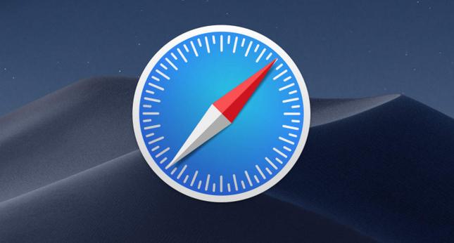 Safari Downloader怎么用？下载步骤有哪些？-图3