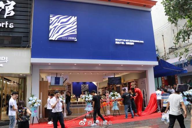 mini zebra品牌厂家-图3