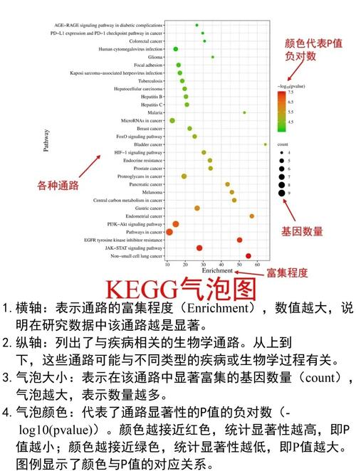 keplerbiostweaker教程-图2