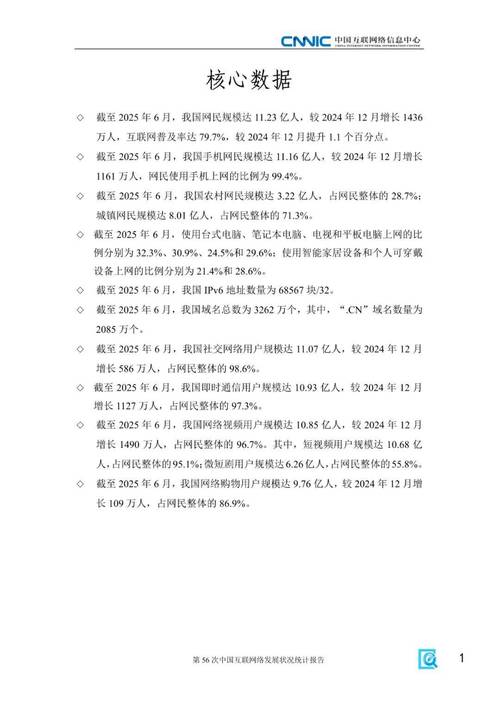 中国互联网发展状况如何？数据揭示哪些趋势？-图2