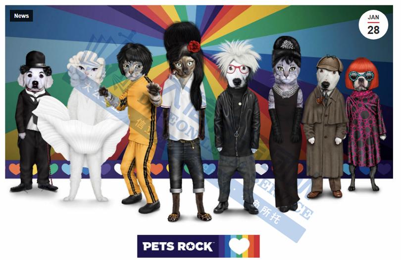 Pets Rock品牌中文名是什么？-图2