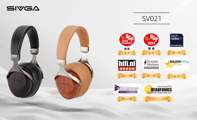 2025年HIFI品牌排行，谁是真正王者？-图1