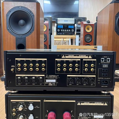 Acoustic功放是什么品牌？-图2