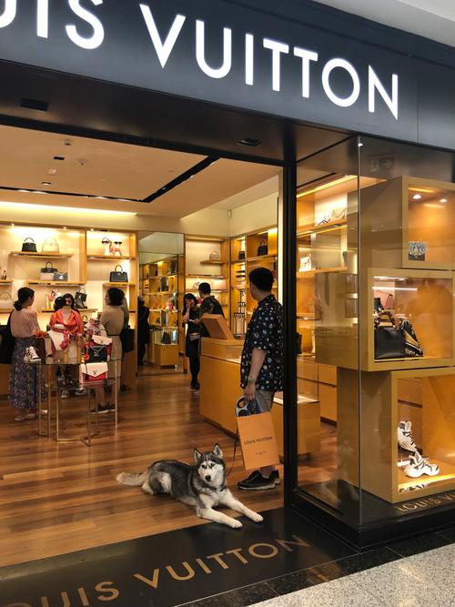 ecobling是哪里的品牌?-图1 ecobling是哪里的品牌?-图1