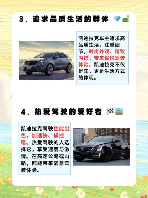 Novadown是什么品牌？-图2