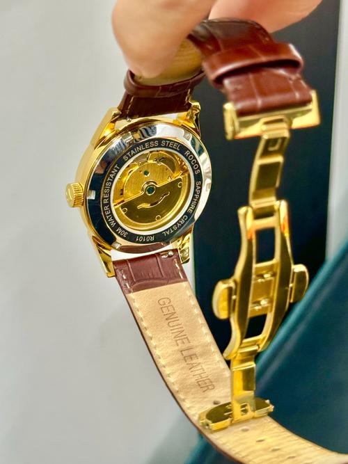 goidiion是何国品牌？主营什么产品？-图1