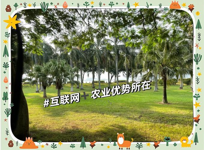 互联网+农业，为何不是简单相加？-图1