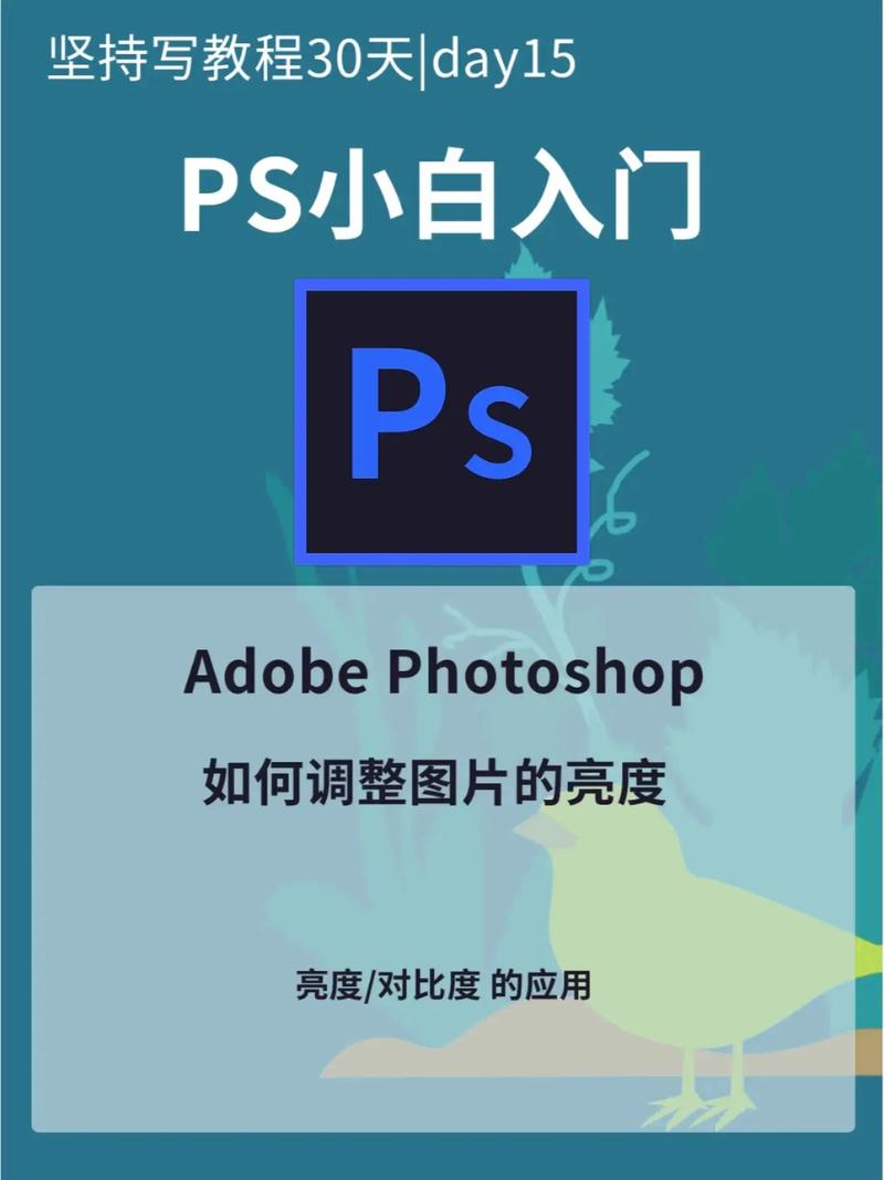 Photoshop CS3视频教程哪里能下载？-图2