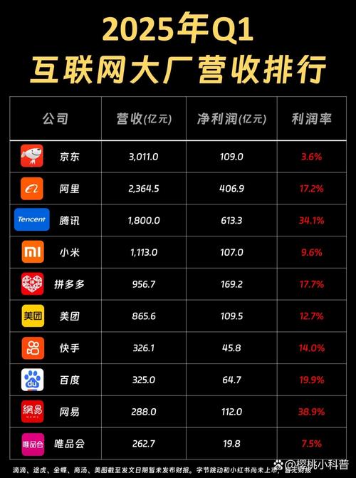 2025互联网排名最新变动，谁将领跑？-图1