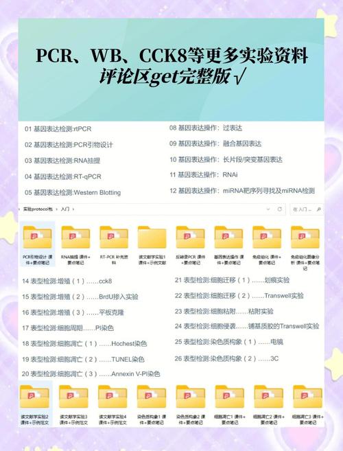 teamwin 2.8.7.0教程-图3